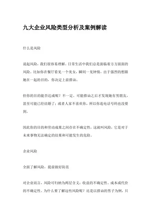 九大企业风险类型分析及案例解读