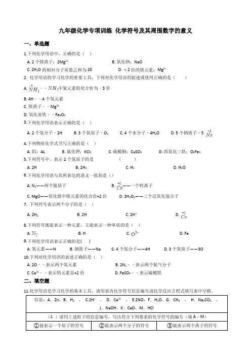 初中化学 化学符号及其周围数字的意义(提升练习)