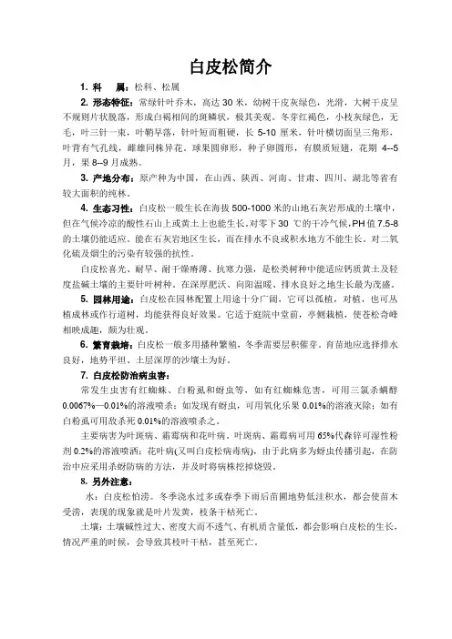 白皮松综合简介