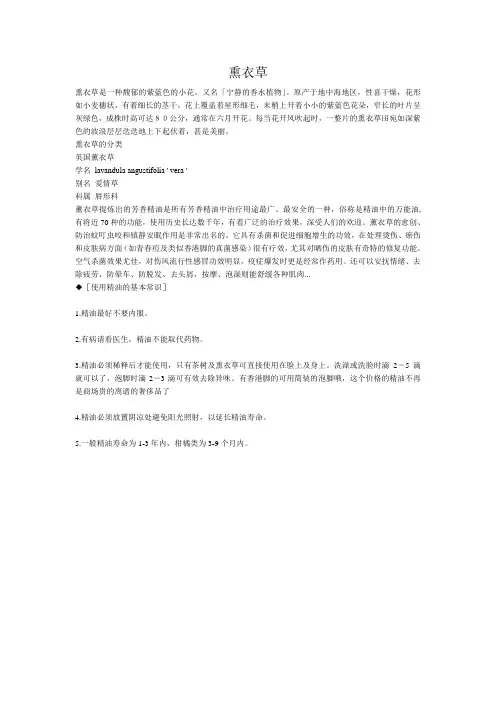 熏衣草