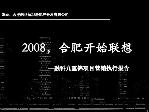 世联房地产项目营销执行报告