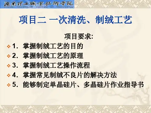 光伏电池制备工艺项目二清洗制绒(000002)