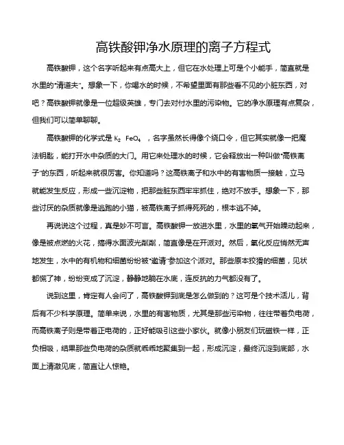 高铁酸钾净水原理的离子方程式