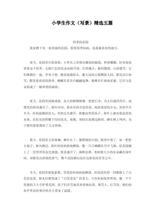 2024年度最佳小学生作文(写景)精选五篇