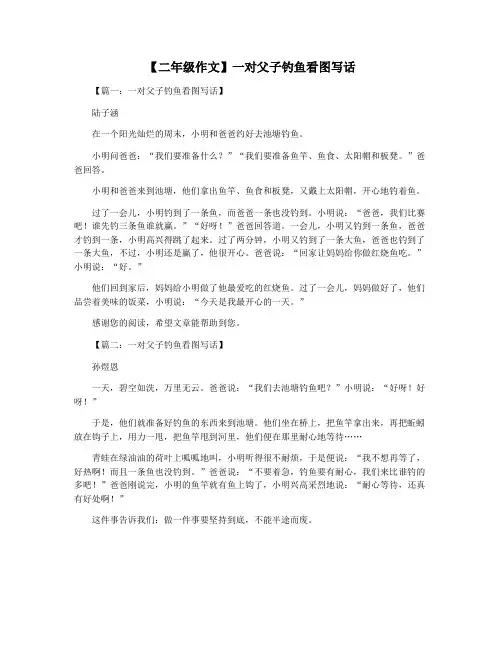 【二年级作文】一对父子钓鱼看图写话