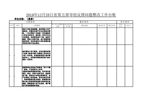 扶贫整改台账0424 (空)