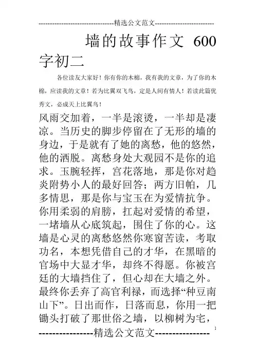 墙的故事作文600字初二