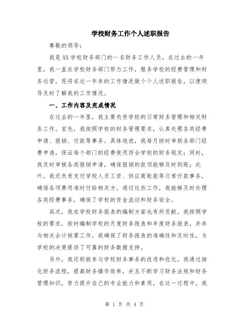 学校财务工作个人述职报告