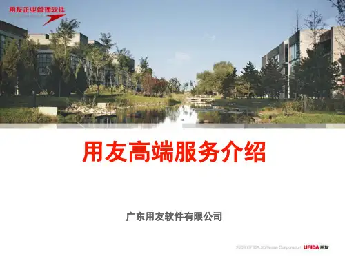 用友高端服务介绍