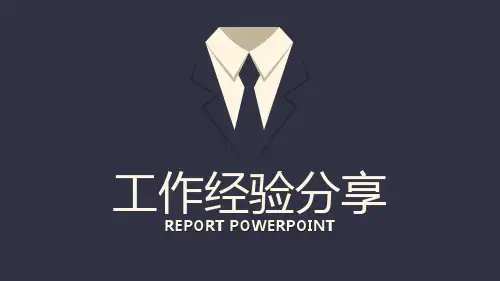 工作经验分享精美PPT (3)