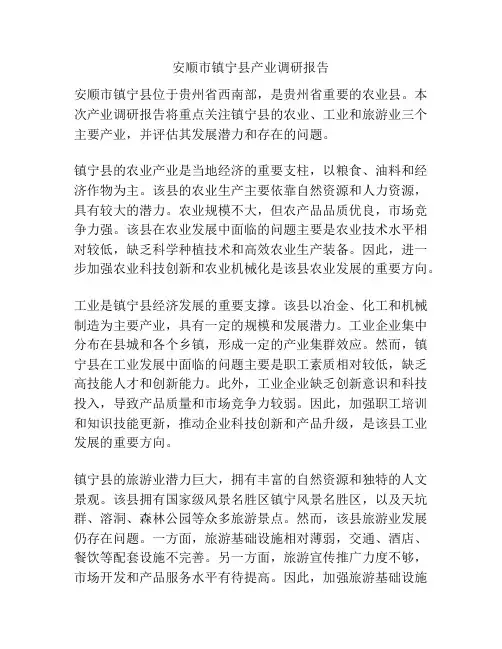 安顺市镇宁县产业调研报告