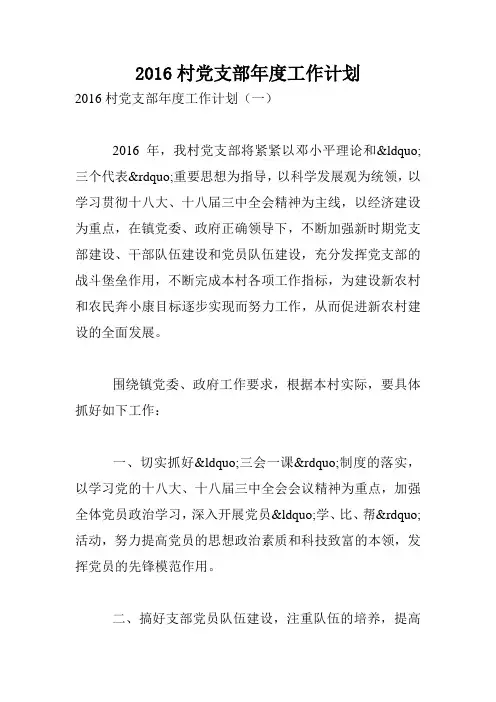 2016村党支部年度工作计划.doc