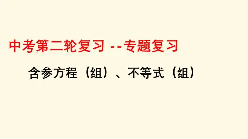 中考二轮专题复习  含参方程(组)、不等式(组) 