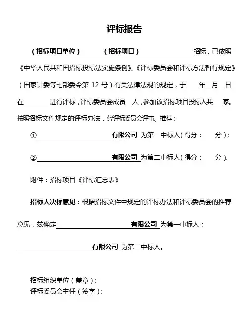 项目招标评标报告