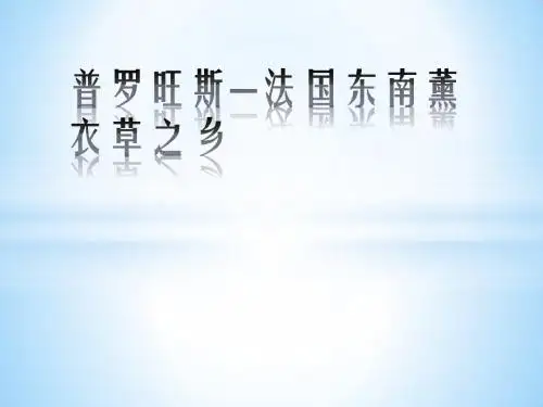 普罗旺斯