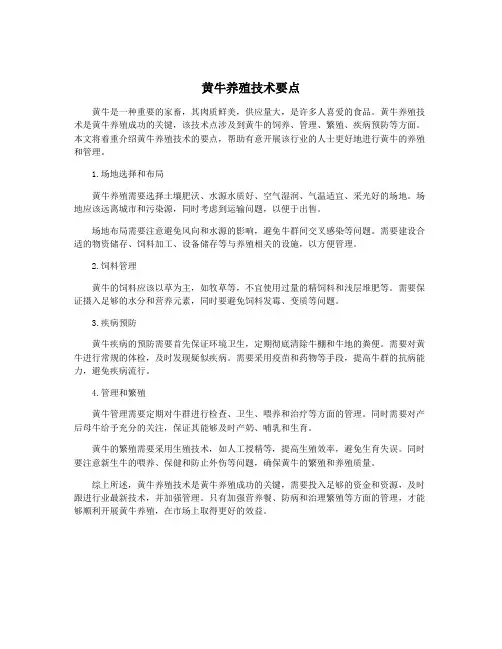 黄牛养殖技术要点