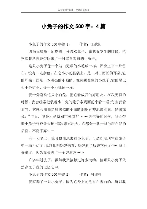 小兔子的作文500字：4篇