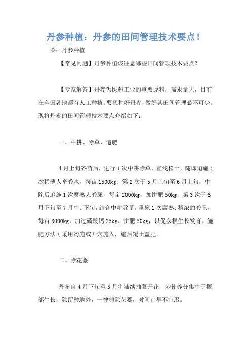 丹参种植：丹参的田间管理技术要点!