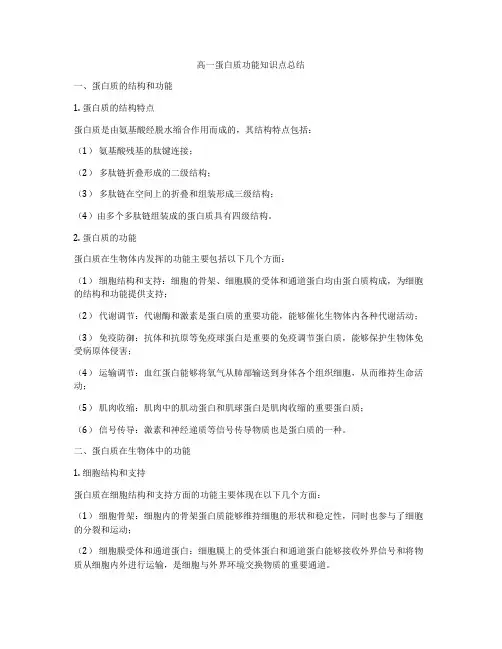高一蛋白质功能知识点总结