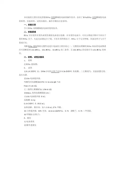 RNA琼脂糖凝胶电泳实验原理、试剂配制方法及操作流程