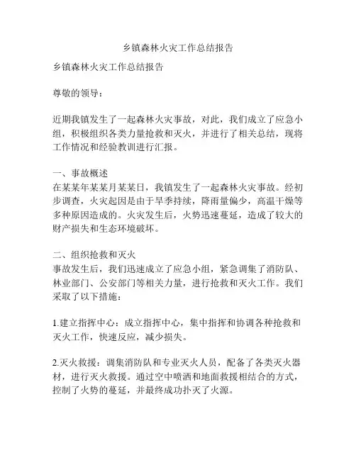 乡镇森林火灾工作总结报告