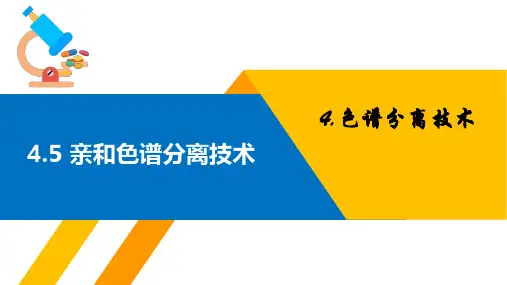 色谱分离技术—亲和色谱分离技术