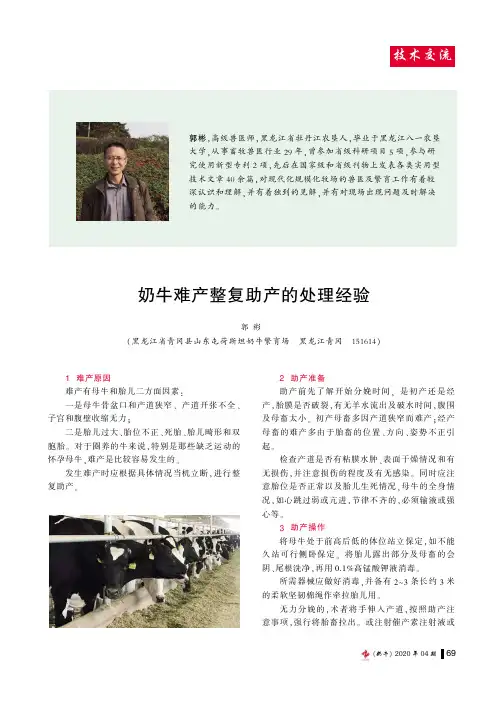 奶牛难产整复助产的处理经验