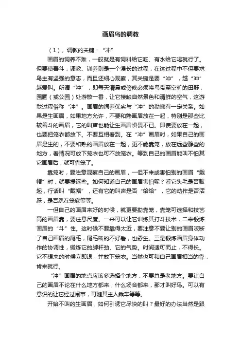 画眉鸟的调教