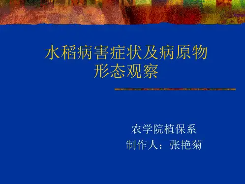 植物病理学-水稻病害识别与鉴定