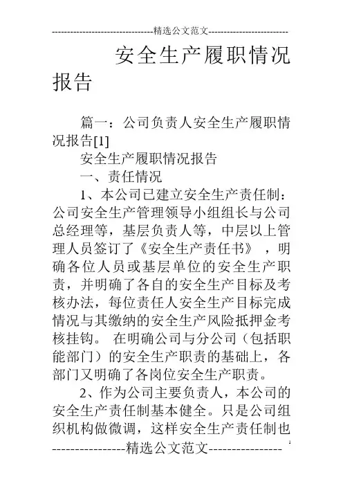 安全生产履职情况报告