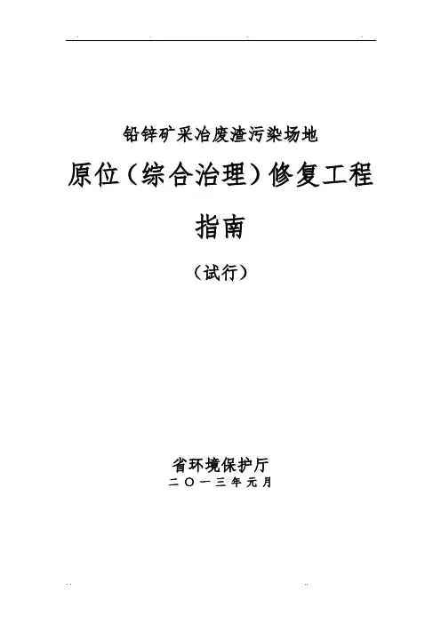 贵州铅锌矿采冶废渣污染场地原位(综合治理)修复工程的指南