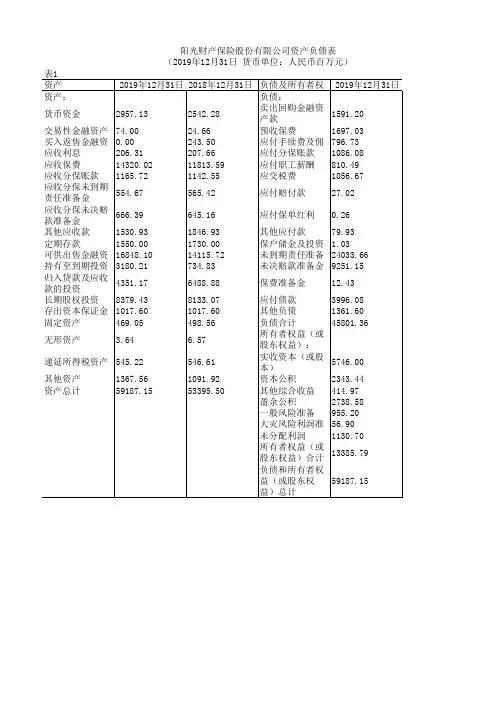 中国保险年鉴2020：阳光财产保险股份有限公司资产负债表