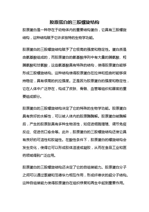胶原蛋白的三股螺旋结构