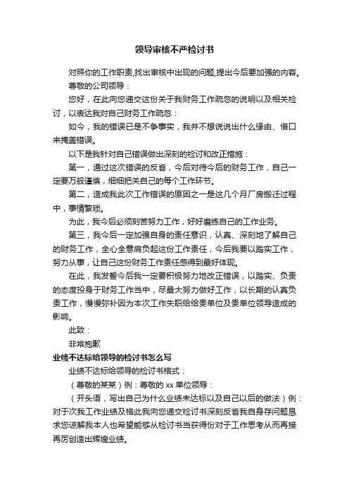 领导审核不严检讨书