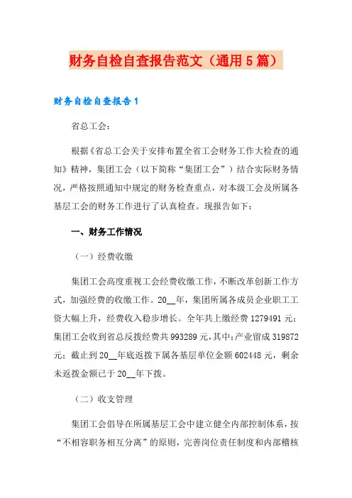 财务自检自查报告范文(通用5篇)