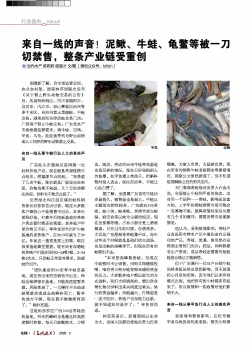 来自一线的声音!泥鳅、牛蛙、龟鳖等被一刀切禁售,整条产业链受重创