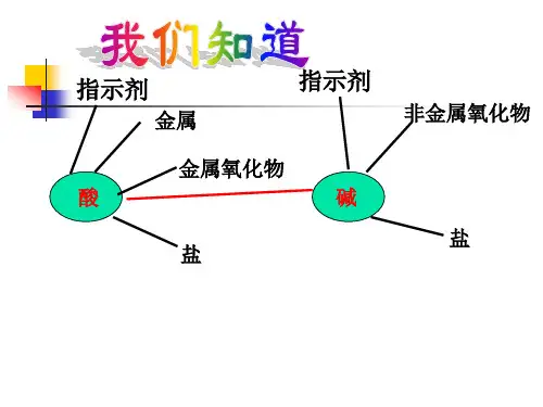 初中化学酸和碱的反应讲解