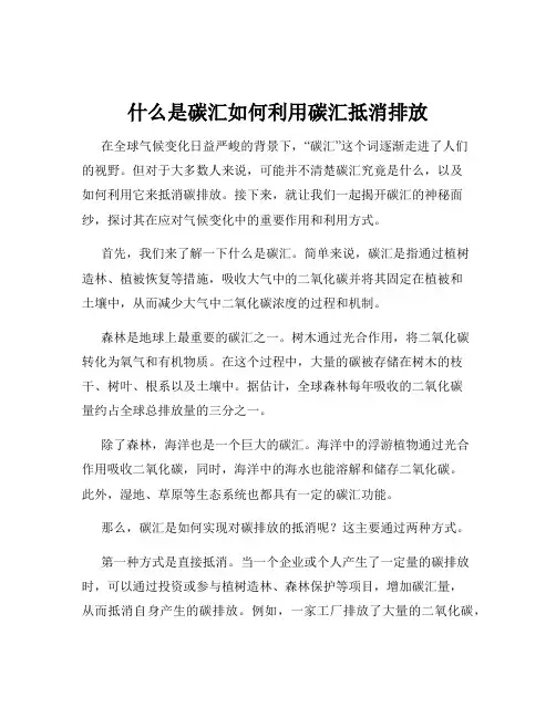 什么是碳汇如何利用碳汇抵消排放