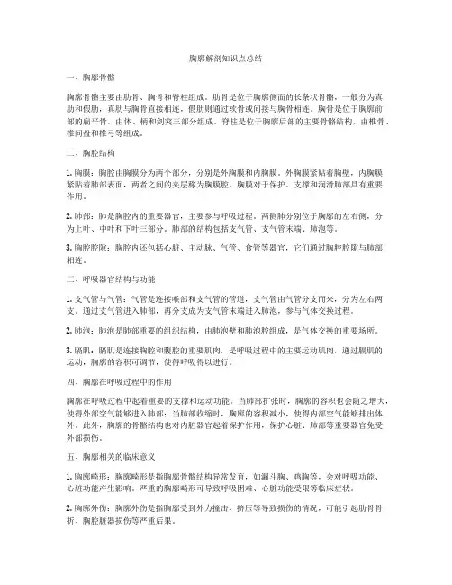 胸廓解剖知识点总结