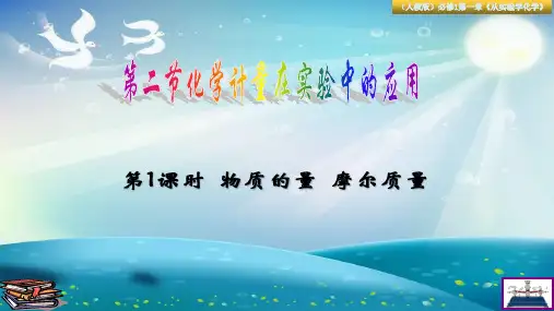 1.2.1《物质的量  摩尔质量》课件-人教版高中化学必修一(共30张PPT)