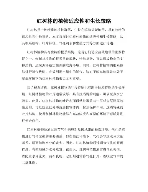 红树林的植物适应性和生长策略