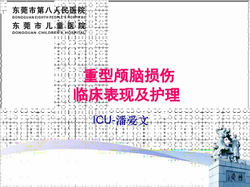 重型颅脑损伤临床表现及护理PPT课件