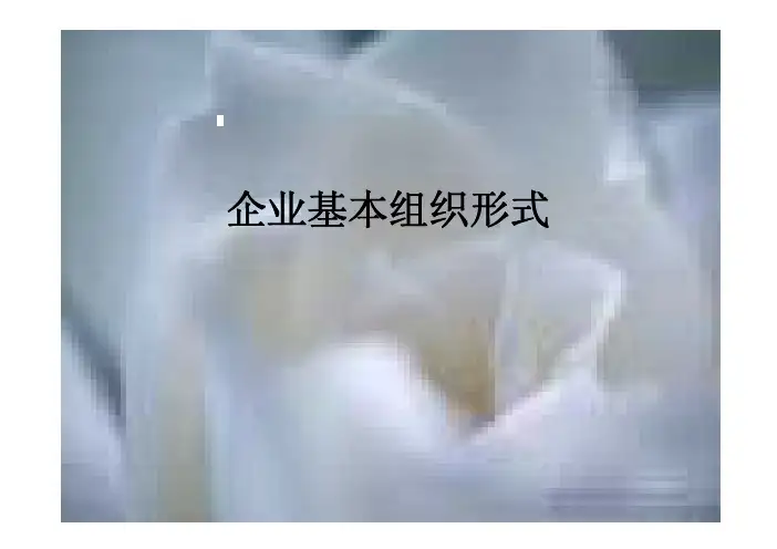 企业基本组织形式