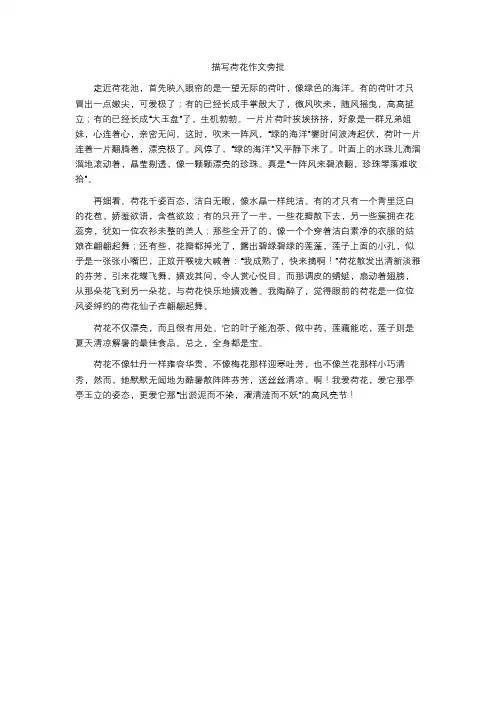 描写荷花作文旁批