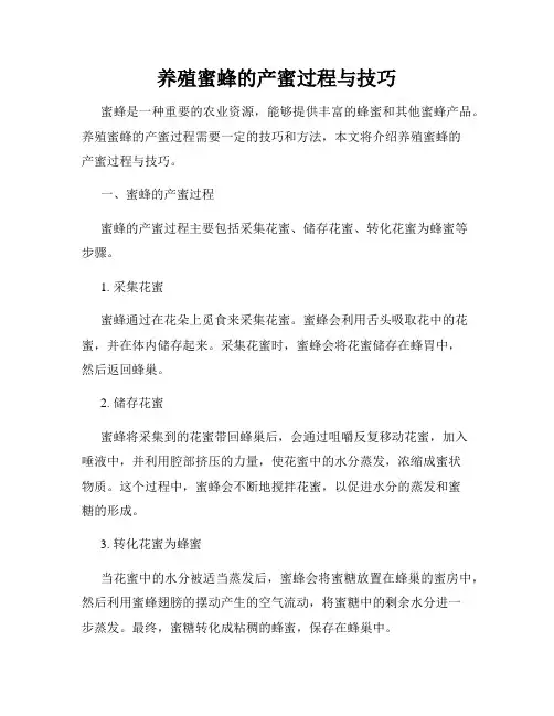 养殖蜜蜂的产蜜过程与技巧