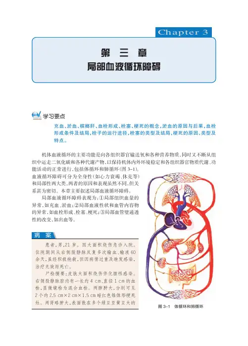 局部血液循环障碍