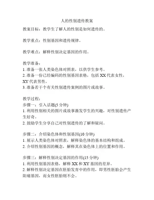 人的性别遗传教案