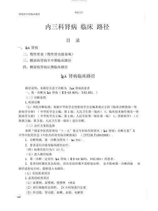 肾病临床路径