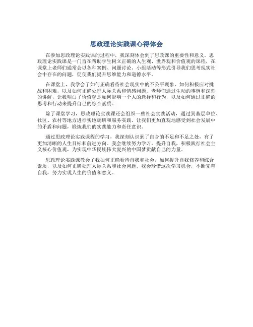 思政理论实践课心得体会