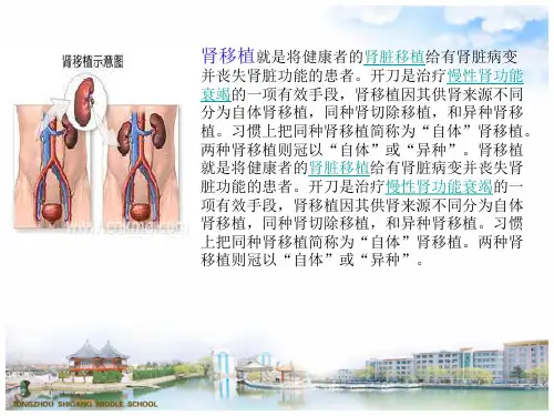 肾移植术后护理ppt课件